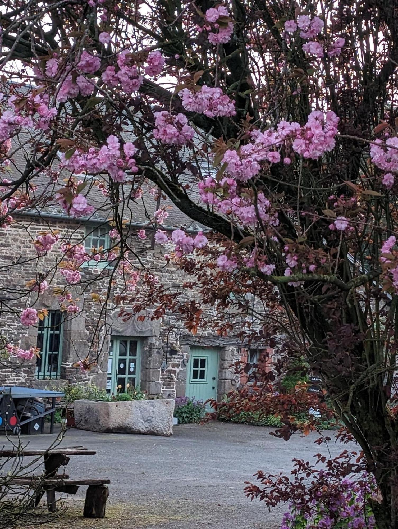 Bed and Breakfast Ferme De La Gortiere Le Teilleul Екстер'єр фото